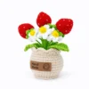 b Hand crochet Strawberry Planter
