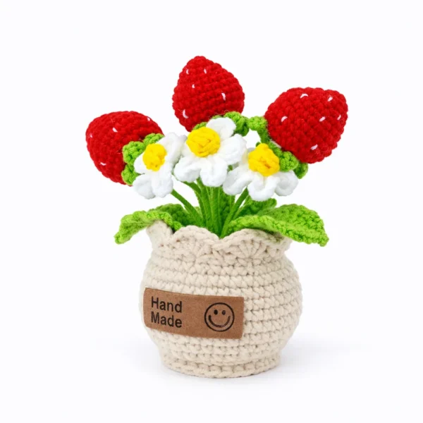 b Hand crochet Strawberry Planter