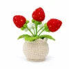 c Hand crochet Strawberry Planter
