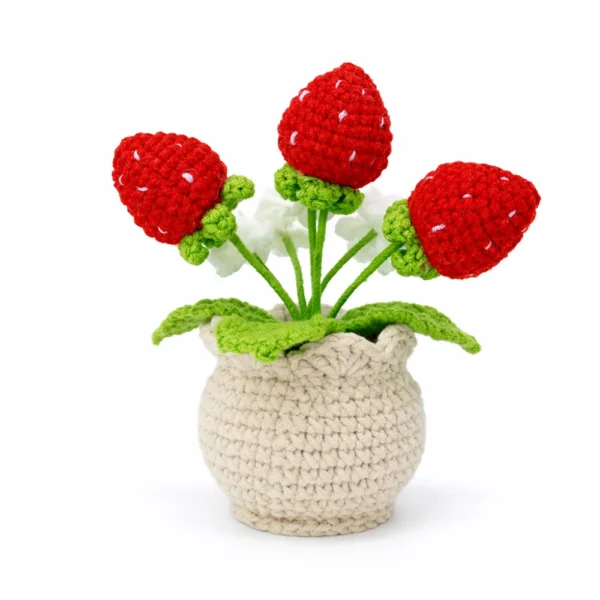 c Hand crochet Strawberry Planter