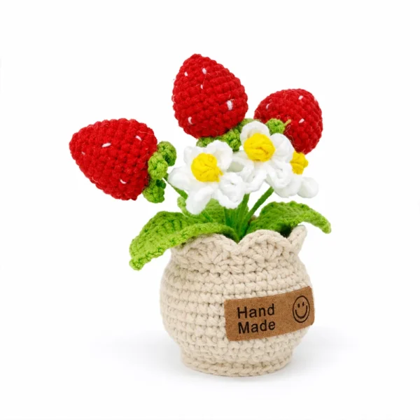 d Hand crochet Strawberry Planter