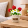 f Hand crochet Strawberry Planter