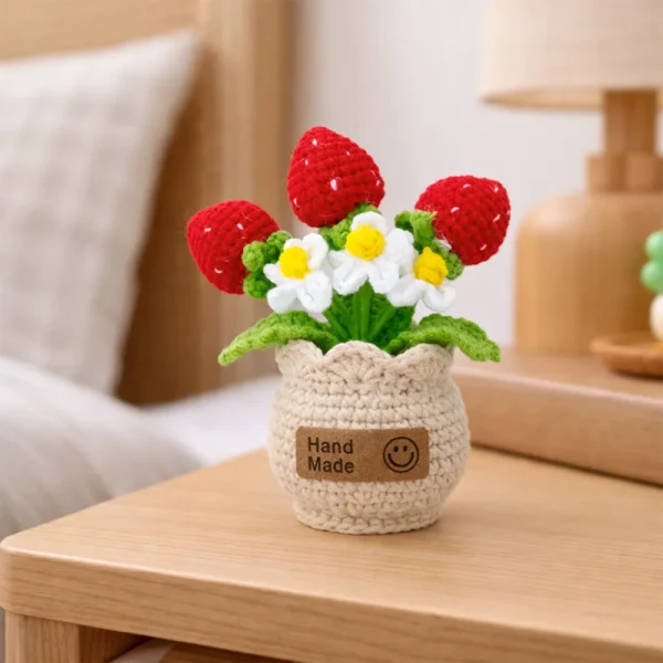 f Hand crochet Strawberry Planter