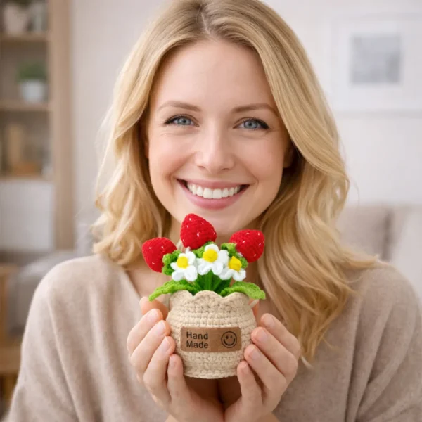 h Hand crochet Strawberry Planter