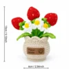 size Hand crochet Strawberry Planter