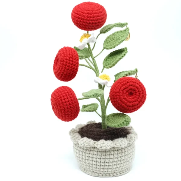 a Crocheted Apple Planter