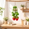 Crocheted Strawberry Hanging Basket
