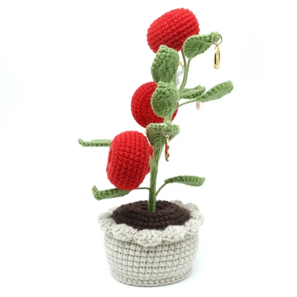 b Crocheted Apple Planter