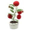 d Crocheted Apple Planter