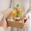 d Crochet Orange Planter