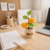 e Crochet Orange Planter