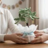 Hand Crochet Money Tree