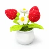 b Crochet Strawberry Planter