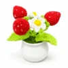 c Crochet Strawberry Planter