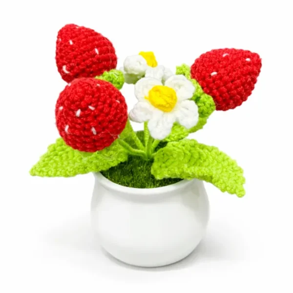 c Crochet Strawberry Planter