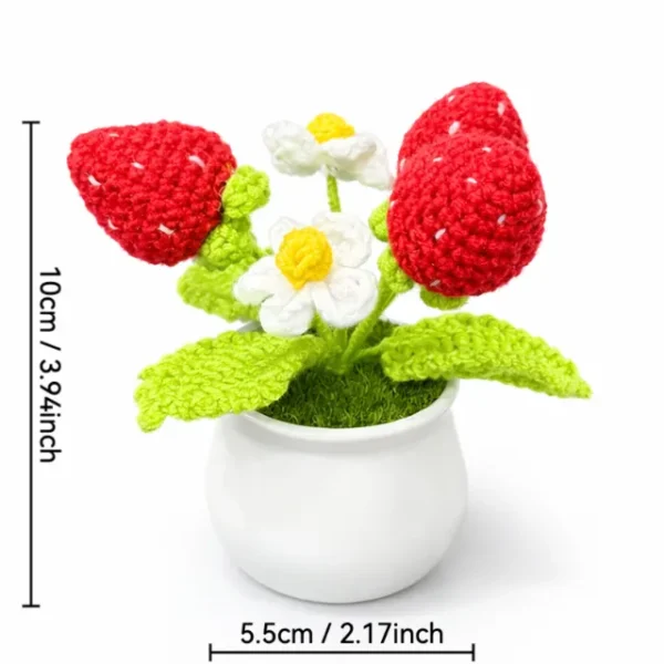 size Crochet Strawberry Planter